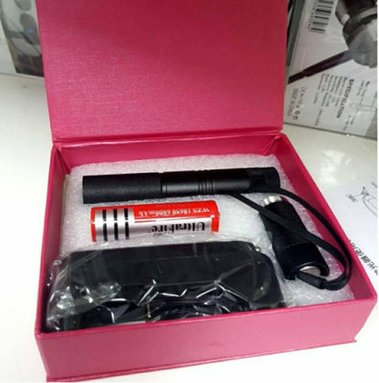 Green laser pointer YL-303